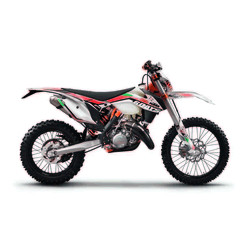 250 EXC SIX-DAYS 2014